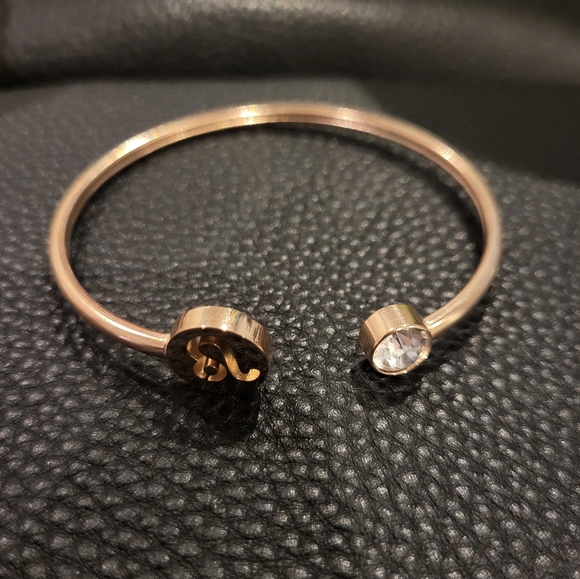 Stainless Steel Leo Bangle with Clear Crystal - Picture 2 of 7